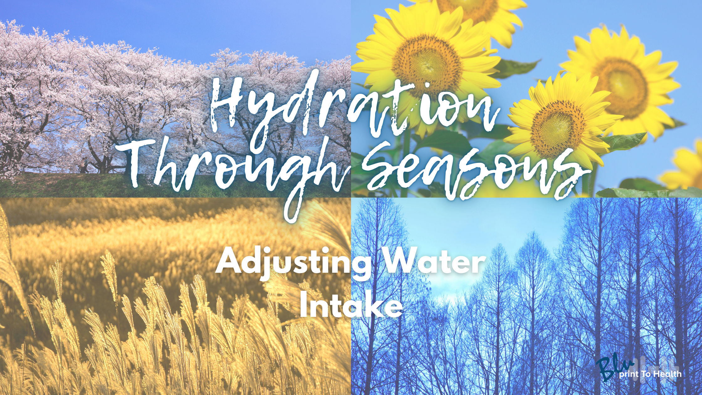 bluPrintToHealth_blog_seasons